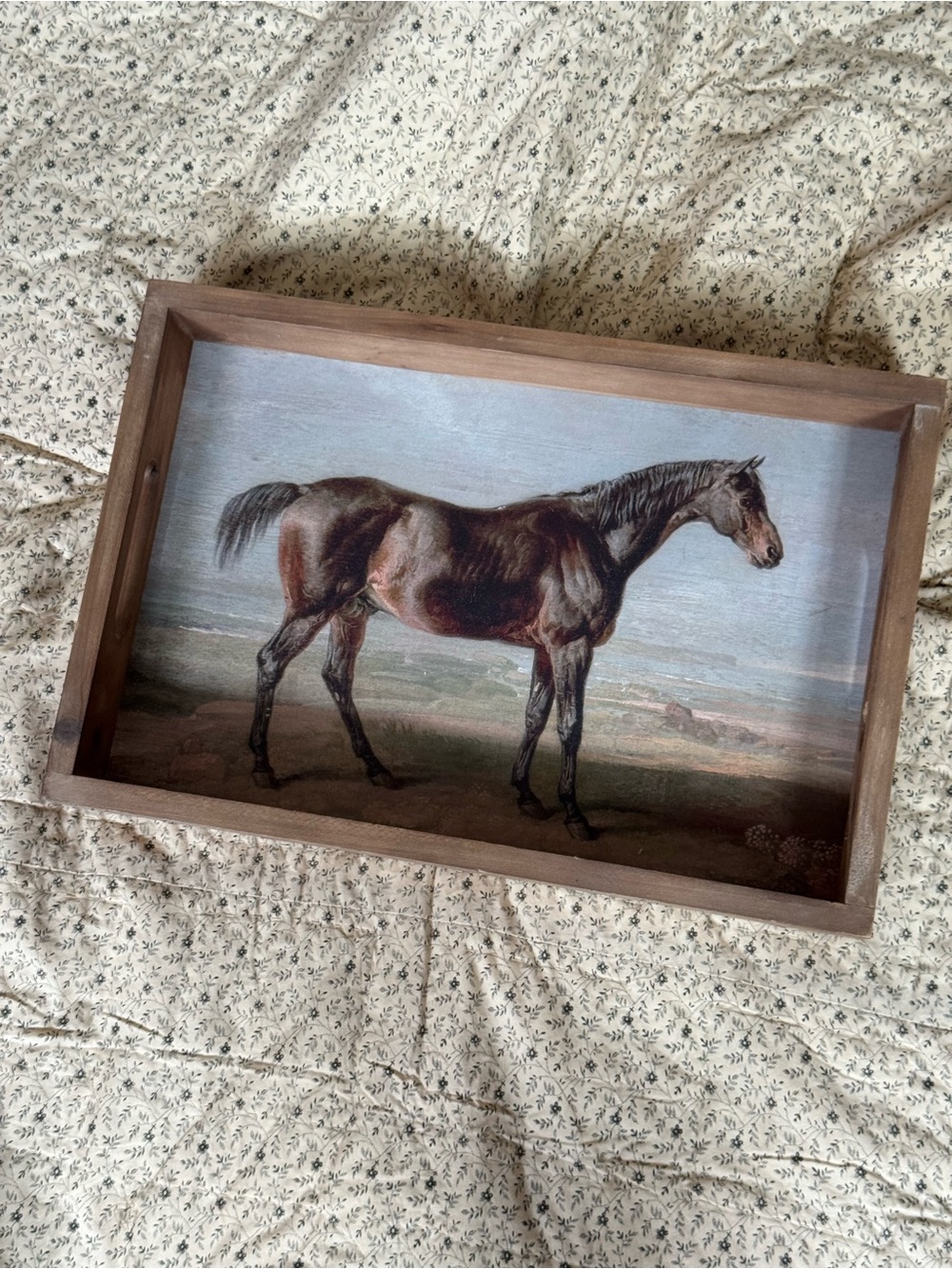 Source Unknown Brown Wood Horse Vanity Tray